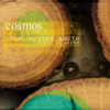 Cosmos Essence - Mister Smith & Dessy DiLauro