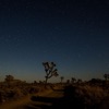 Sky High (Black Ice) - Single