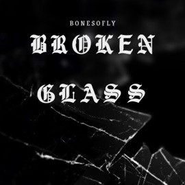 Broken Glass BoneSoFly
