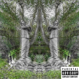 Act confident (feat. Spam Hoolie & Insane beatz) Power to the peaceful