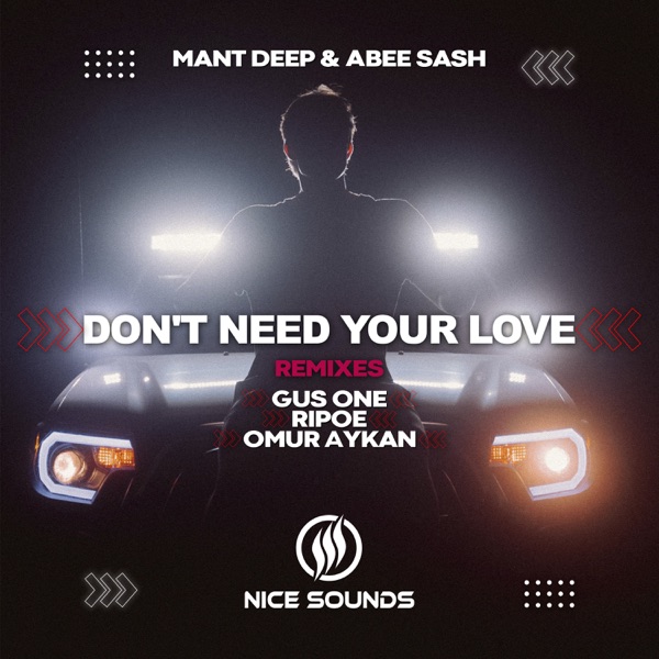 Don't Need Your Love (Remixes) - Single