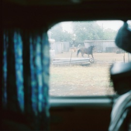 Horse Says Hello Mr. Shleep