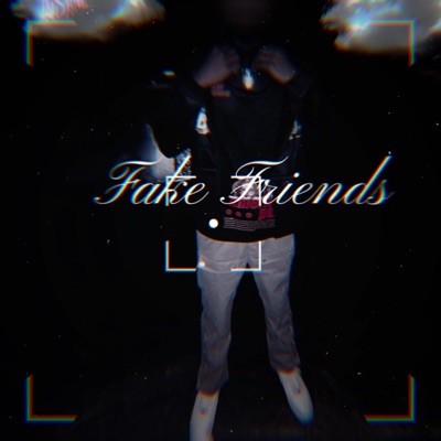 Fake Friends - Single