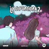 ¿Y Si Funciona? (feat. rboyz) - Single - RB Prod