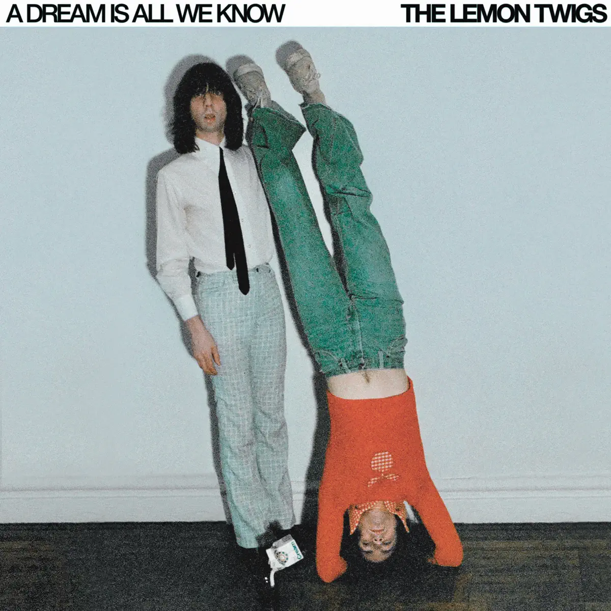 The Lemon Twigs - A Dream Is All We Know (2024) [iTunes Plus AAC M4A]-新房子