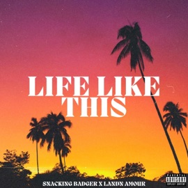 Life Like This (feat. Landn Amour) Snacking Badger