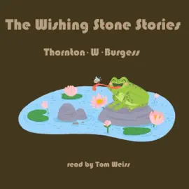 The Wishing Stone Stories (Unabridged)