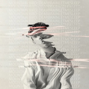 Dearbrainletmesleep - EP
