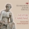 Komorni zbor Orfej - Sagastipean