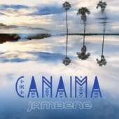 Canaima artwork