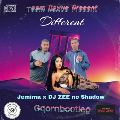 Different Gqombootleg(Jemima) (feat. DJ ZEE no Shadow) [Radio Edit] - Single