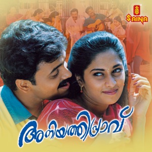 Vennilakkadappurathu