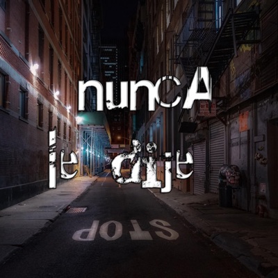 Nunca le dije - Single