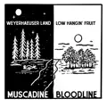 Weyerhaeuser Land