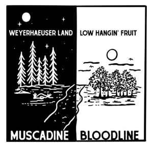 Weyerhaeuser Land / Low Hangin' Fruit - Single