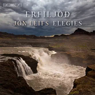 Erfiljóð, Op. 35: II. Sorgardans (Elegies: Dance of Sorrow) by Þórunn Guðmundsdóttir, Bernhardur Wilkinson, Rut Ingólfsdóttir, Einar Jörundsson, Eyjólfur Eyjólfsson, Guðmundur Arnlaugsson, Magnus Gudmundsson, Bragi Bergþórsson, Egill Árni Pálsson, Heimir Jónatansson, Jóhann Baldvinsson, Bjarni Benedikt Björnsson, Hafsteinn Þórólfsson, Hreiðar Ingi Þorsteinsson, Hugi Jónsson, Árni Áskelsson, Benedikt Ingólfsson, Halldór Vilhelmsson & Rúnar Einarsson song reviws