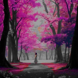 Tentei Falar do Amor RafaelRodrigs, Doglê & Duque