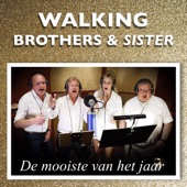 De Mooiste Van Het Jaar artwork