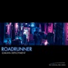 Roadrunner - Single