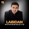 Labidan - Single