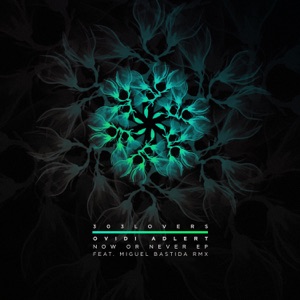 Now or Never - EP