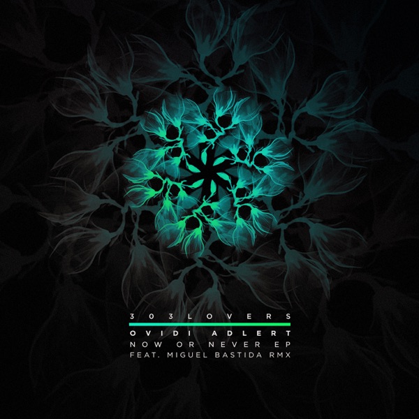 Now or Never - EP
