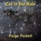 Cat in the Rain - Paige Powell lyrics