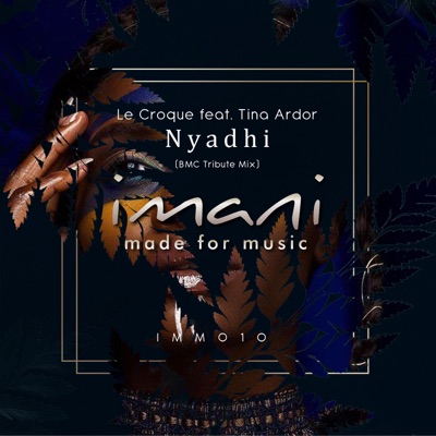 Nyadhi (BMC Tribute Mix) [feat. Tina Ardor] - Single
