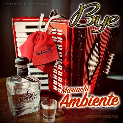 Bye (feat. Mariachi Ambiente) - Single