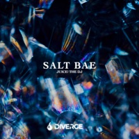 Salt Bae - Single - Juice! the DJ & KnightBlock