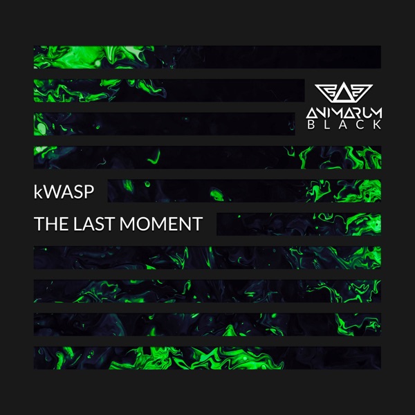 The Last Moment - Single