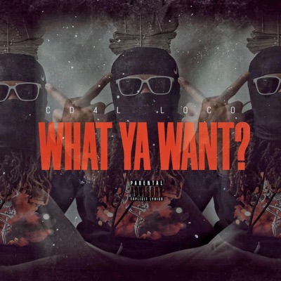 What Ya Want? - Single