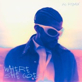 Where She Goes (Remix) artwork