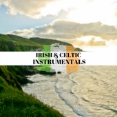 Irish & Celtic Instrumentals artwork