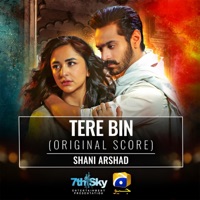 Tere Bin (Original Score) - Single - Shani Arshad