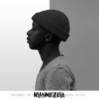 Nyamezela (feat. Boss Nhani) - Single - Shabba CPT
