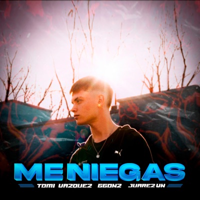 Me Niegas - Single