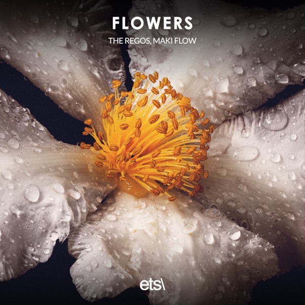 Flowers - Single