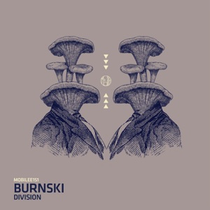 Division - Single