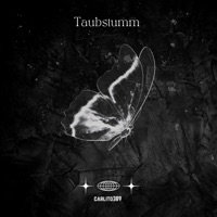 Taubstumm feat fela16 - Single - Carlito389rrx