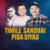 TIMILE SADHAI PIDA DIYAU (Acoustic Version) [feat. Shishir Yogi] - Single