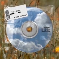 YAY3 WILD (feat. VINKPE) - Single - J.Ron