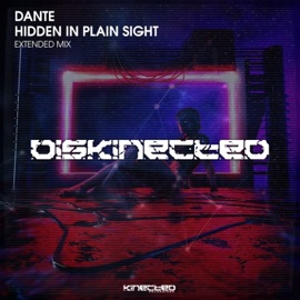 Hidden In Plain Sight (Extended Mix) Dante