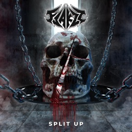 Split Up Flakzz