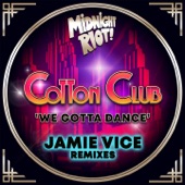 We Gotta Dance (Jamie Vice Remix) artwork
