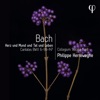 Dorothee Mields Herz und Mund und Tat und Leben, BWV 147, Pt. 1: V. Aria. Bereite dir, Jesu, noch itzo die Bahn Herz und Mund und Tat und Leben - Bach: Cantatas BWV 6-99-147
