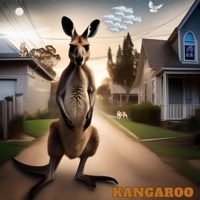 Kangaroo - Single - Dj Insane
