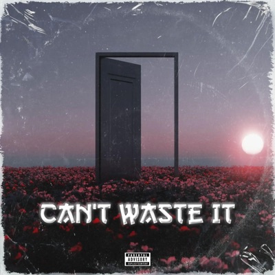 Can't Waste It - Single