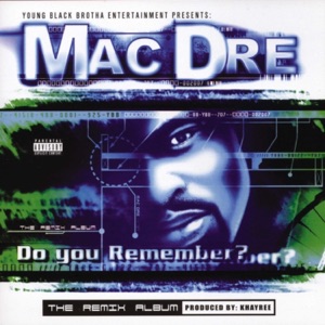 Do You Remember? (The Remix Album)
