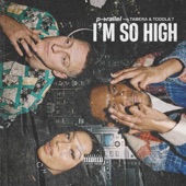 I'm So High (feat. Tamera & Toddla T) artwork